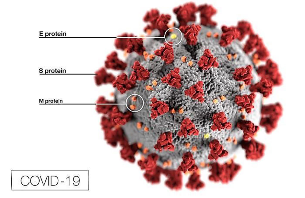Image: This illustration reveals ultrastructural morphology exhibited by coronaviruses. Note the spikes that adorn the outer surface of the virus, which impart the look of a corona surrounding the virion, when viewed electron microscopically (Photo courtesy of Centers for Disease Control and Prevention).