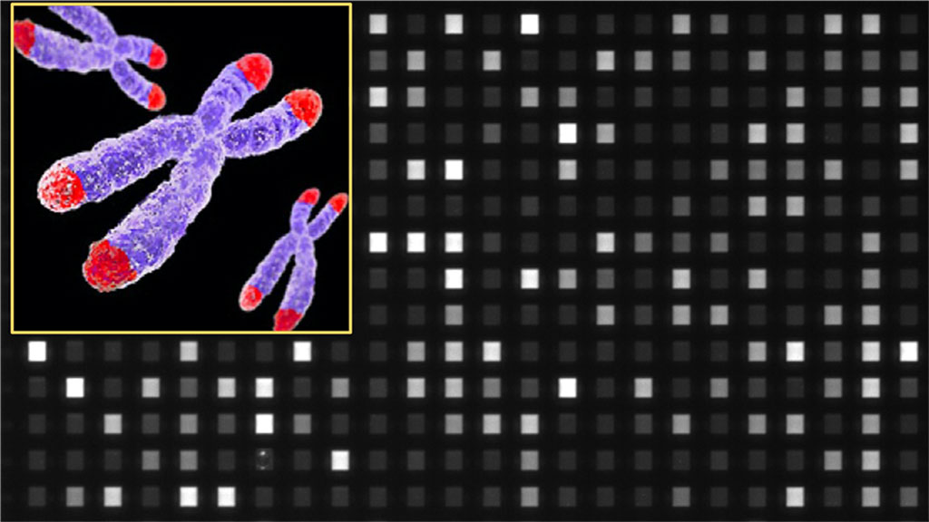 Image: A magnified image captured by the device used to perform the STAR (single telomere absolute-length rapid) assay. Different fluorescent intensities reflect the length variations in individual telomere molecules (Photo courtesy of National University of Singapore).