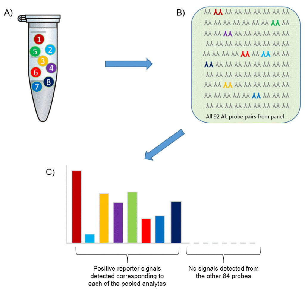 Image: Schematic diagram of the immunoassay based on proximity extension assay (PEA) technology (Photo courtesy of Olink Proteomics).