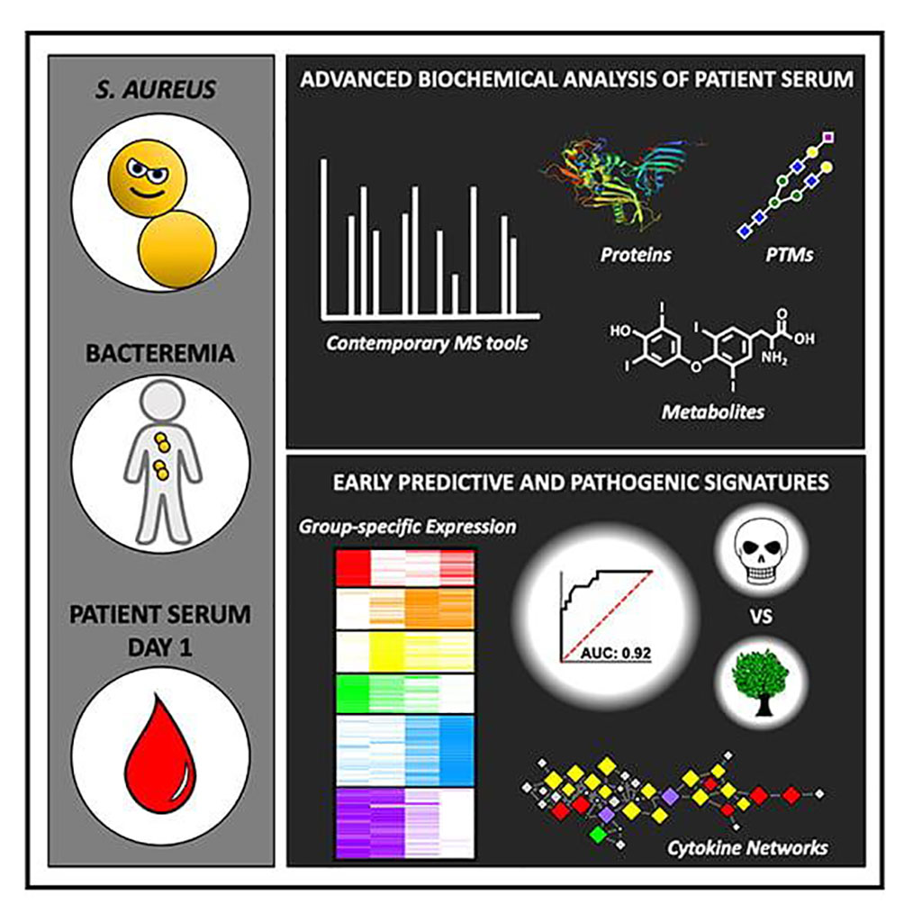 Image: Using advanced biochemical analysis of patient serum, researchers found signatures that help predict which patients are at highest risk of dying from S. aureus bacteremia, a blood infection (Photo courtesy of University of California, San Diego)