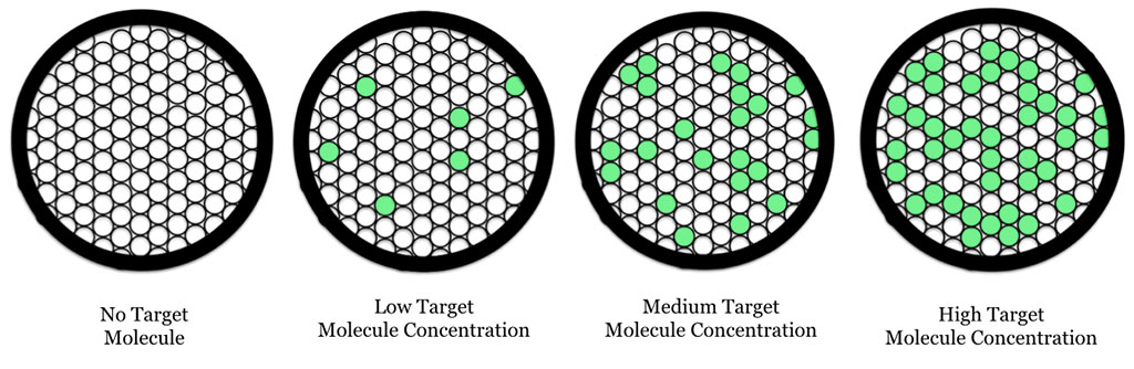 Image: Digital droplet PCR (ddPCR): schematic showing oil droplets containing fluorescent PCR target molecules (Photo courtesy of Wikimedia Commons)