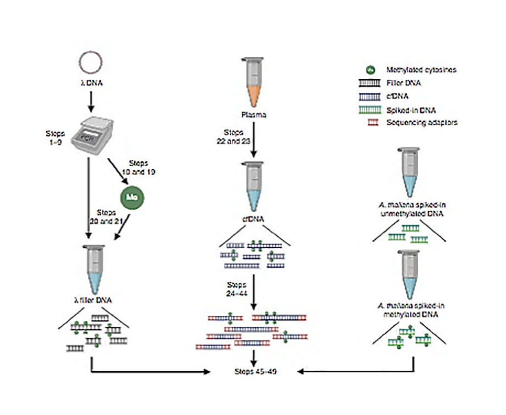 Image: Schematic diagram of cell-free methylated DNA immunoprecipitation and high-throughput sequencing (cfMeDIP-seq) (Photo courtesy of Princess Margaret Cancer Centre).