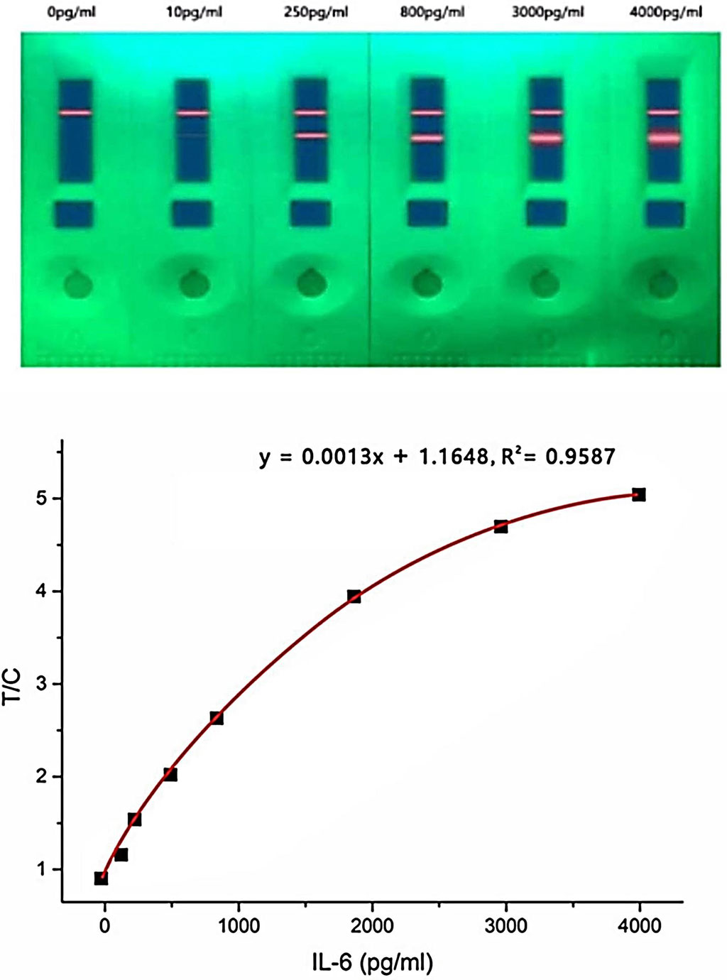 Image: The quantum dot (QD)‐based fluorescence lateral flow immunoassay (LFIA) strip can rapidly and accurately detect IL‐6 levels at different concentrations (Photo courtesy of University of South China)