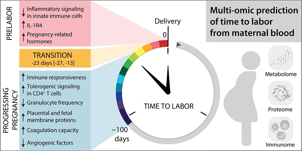 Image: Multiomic prediction of time to labor from biomarkers in maternal blood (Photo courtesy of STELZER ET AL.)