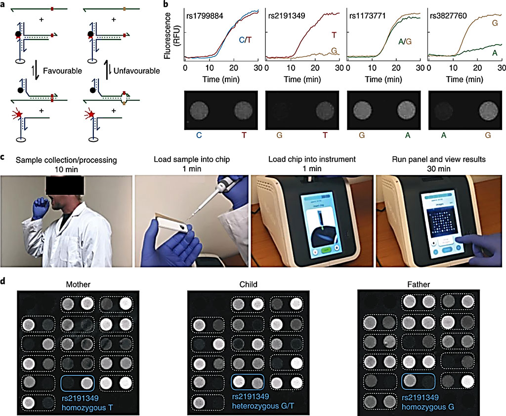 Image: (c) Illustration of workflow for human buccal swab sample testing on the toroidal PCR. Total turnaround time is under one hour. (d) Genotyping 15 SNP loci from buccal swab samples from a family trio (Photo courtesy of Rice University)