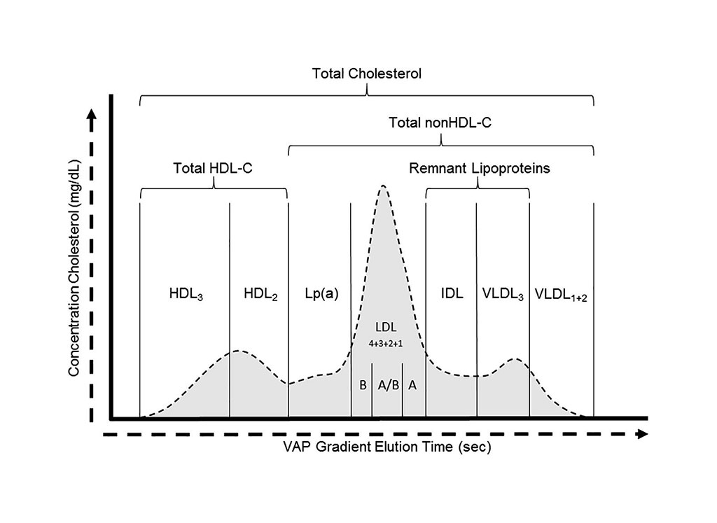 Image: Illustration is of the Vertical Auto Profile (VAP) Lipid test with clear demarcation of the different lipoprotein classes and subclasses. (Photo courtesy of VAP Diagnostics Laboratory)