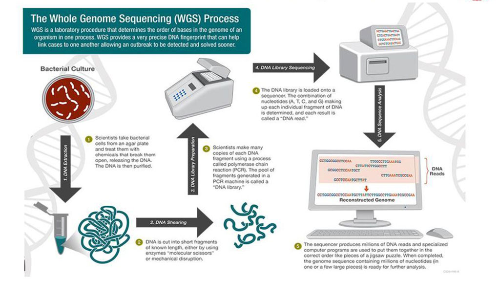 Image: Schematic Diagram of Whole-Genome Sequencing that was used to diagnose neurological repeat expansion disorders (Photo courtesy of Centers of Disease Control and Prevention)