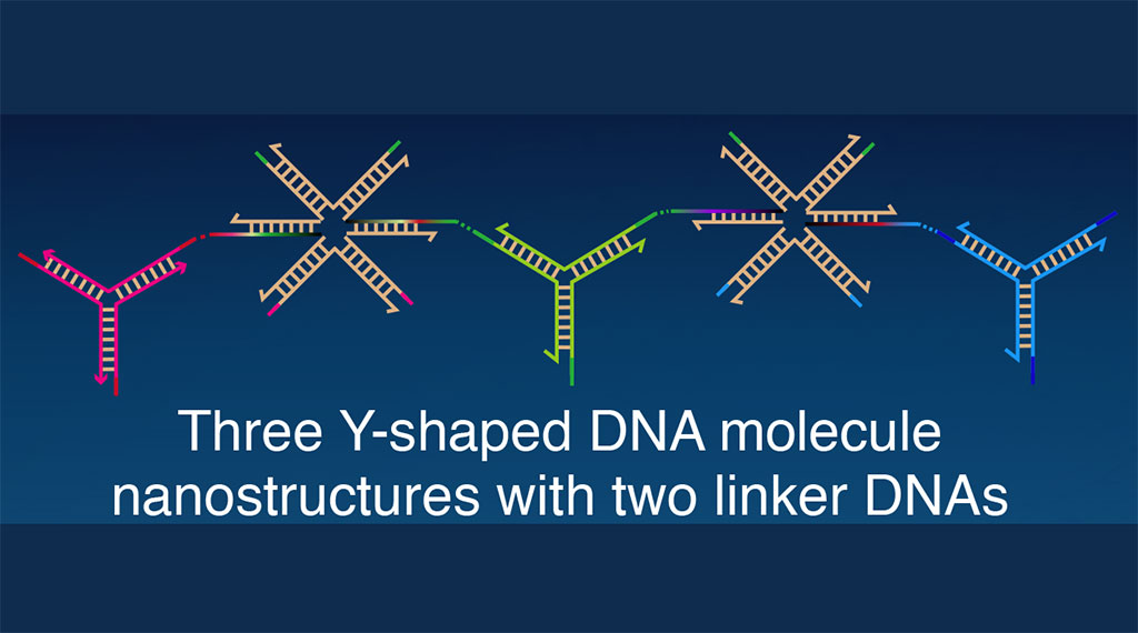 Image: DNA droplets play an essential role in cellular functions (Photo courtesy of Tokyo University of Technology)