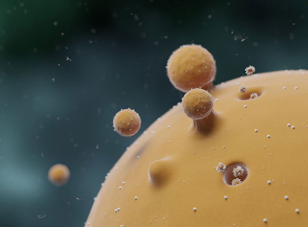 Image: Extracellular vesicles (Photo courtesy of The [U.S.] National Institutes of Health)