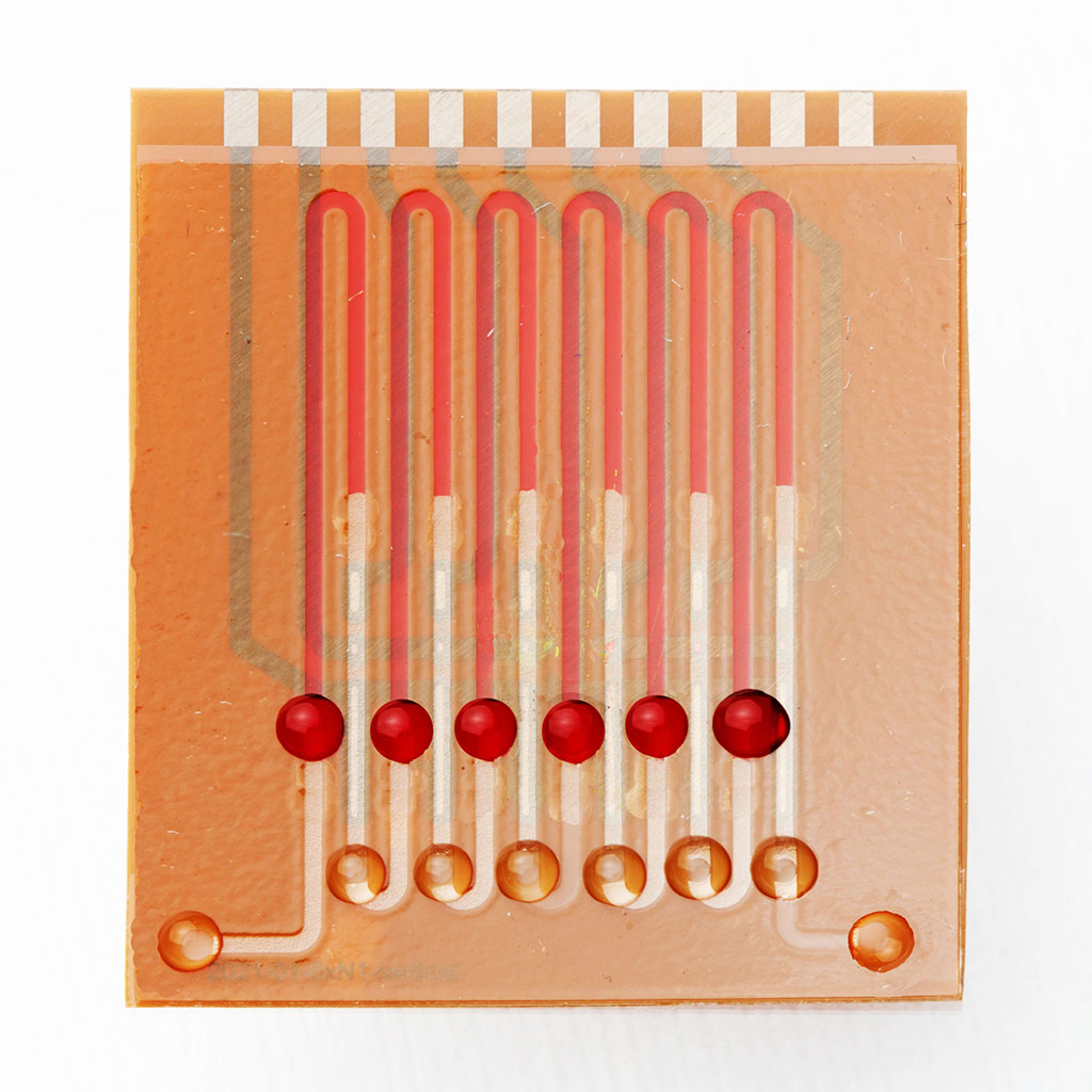 Image: The multiplex chip can measure the viral load in a nasal swab (Photo courtesy of University of Freiburg)