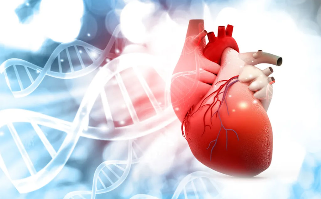 Image: PrecisionCHD is the first integrated epigenetic-genetic-based blood test for the early detection of coronary heart disease (Photo courtesy of Cardio Diagnostics)