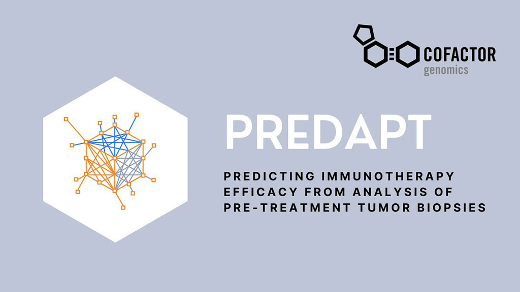 Image: The first ever diagnostic test accurately predicts patient response to immunotherapy (Photo courtesy of Cofactor)