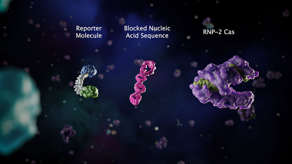 Image: The CRISPR Cascade platform eliminates the need for target amplification (Photo courtesy of VedaBio)