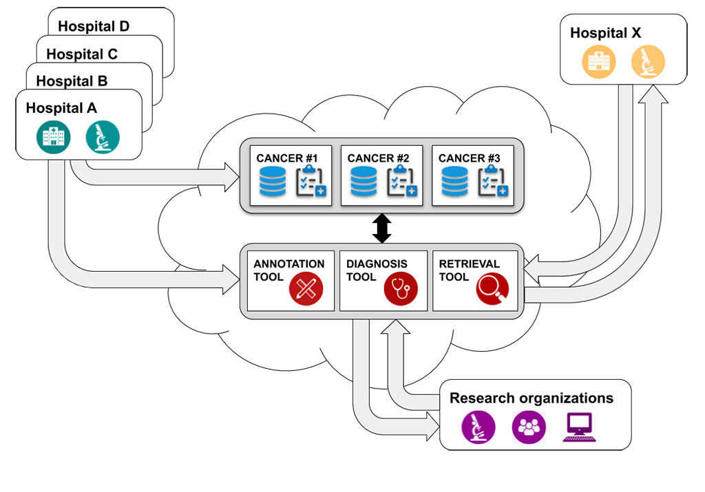 Image: New AI algorithms can aid diagnosis of clinically difficult-to-interpret cancerous tumors (Photo courtesy of CLARIFY)