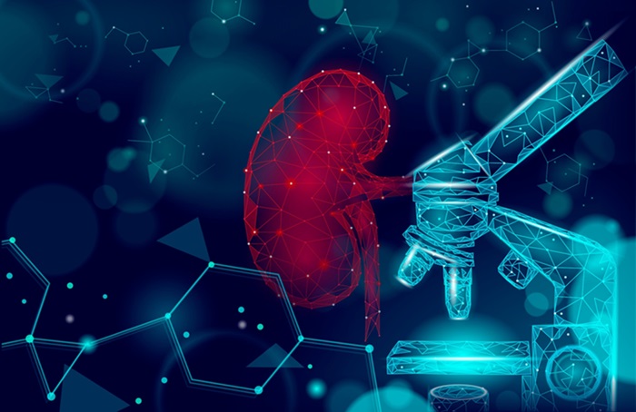 Image: Researchers have detected novel biomarkers for kidney diseases using a new technique (Photo courtesy of 123RF)