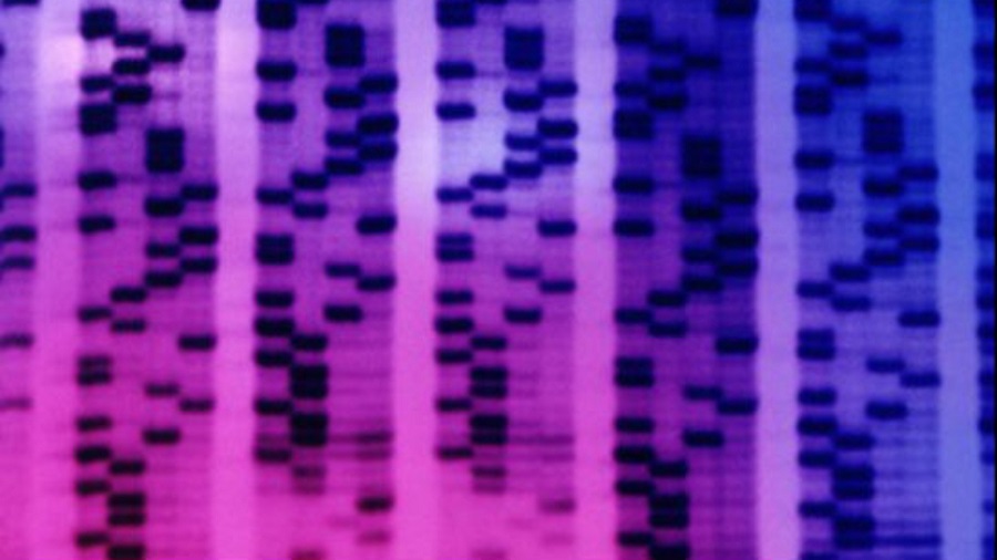 Image: DNA sequence (Photo courtesy of The Institute of Cancer Research)
