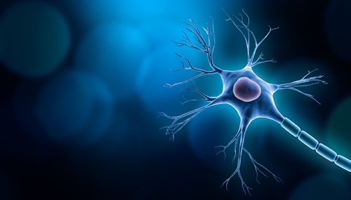 Image: The neurofilament light chain blood test for multiple sclerosis is the first of its kind to achieve CE Mark (Photo courtesy of Adobe Stock)