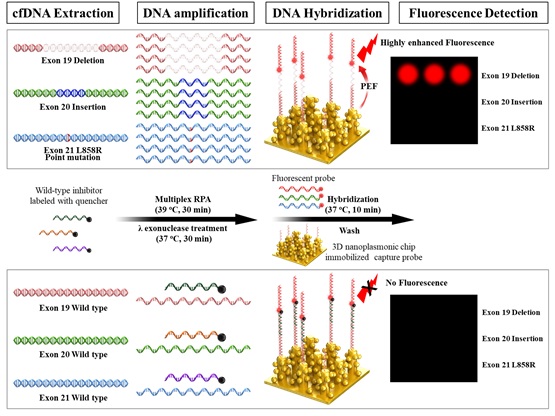 Image: Representative diagram of 3D nanoplasmonics-based technology for detecting mutant genes in blood (Photo courtesy of KIMS)