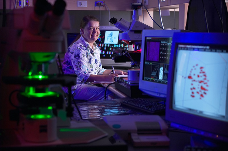 Image: The breakthrough by Dr. Sabine Mai and her team enables early risk-stratification of smoldering multiple myeloma (Photo courtesy of University of Manitoba)