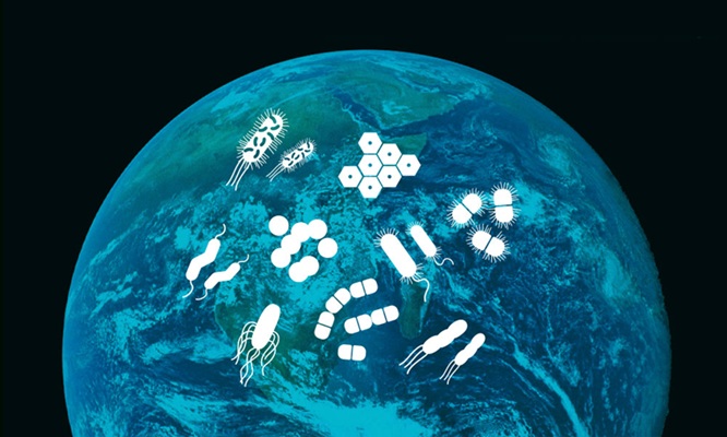 Image: RNA sequencing directly from whole blood aims to expand access to LRTI testing (Photo courtesy of CARB-X)