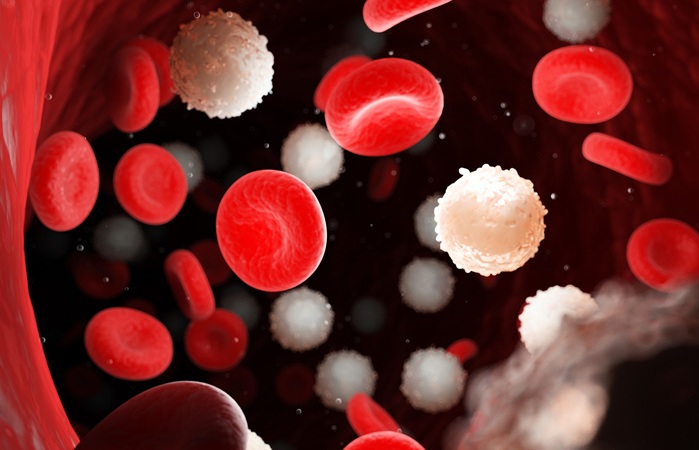 Image: Leukocyte count represents an easily accessible, inexpensive clinical marker (Photo courtesy of 123RF)