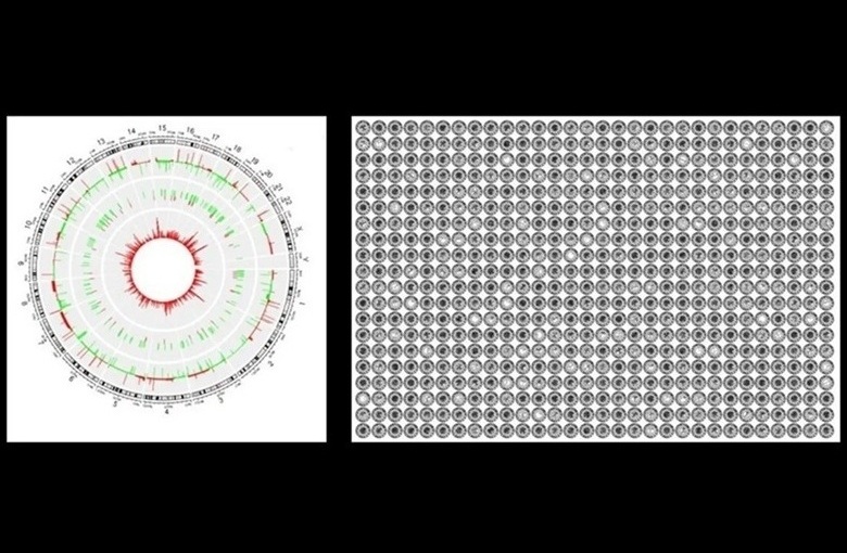 Image: The OmicsFootPrint AI tool could open doors to new discoveries (Photo courtesy of Mayo Clinic)