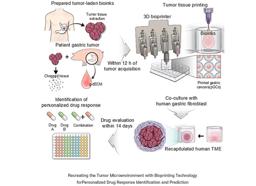 Image: Personalized cancer treatment using 3D bioprinting technology (Photo courtesy of POSTECH)