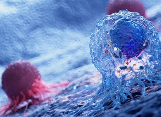 Image: Scientists have discovered the ’roadmap’ that aggressive cancer uses to spread (Photo courtesy of 123RF)