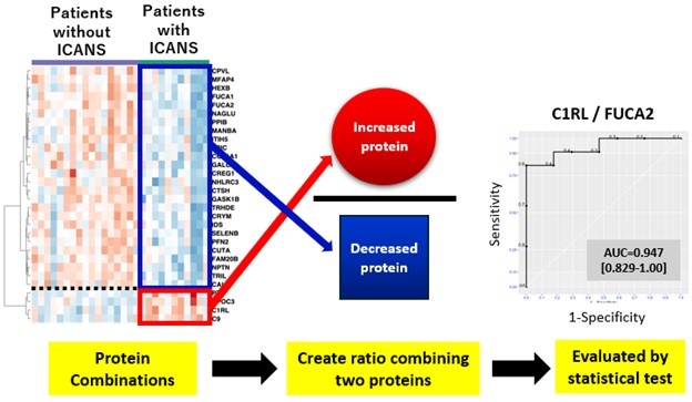 Image: Among the proteins in the cerebrospinal fluid, the researchers identified biomarkers that can accurately predict the development of ICANS (Photo courtesy of Daiki Setoyama/Kyushu University)