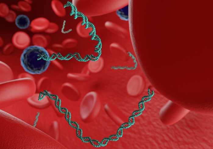 Image: The study helps to clarify the ideal timepoint for ctDNA testing following a surgical procedure (Photo courtesy of Shutterstock) Image: The study helps to clarify the ideal timepoint for ctDNA testing following a surgical procedure (Photo courtesy of Shutterstock)