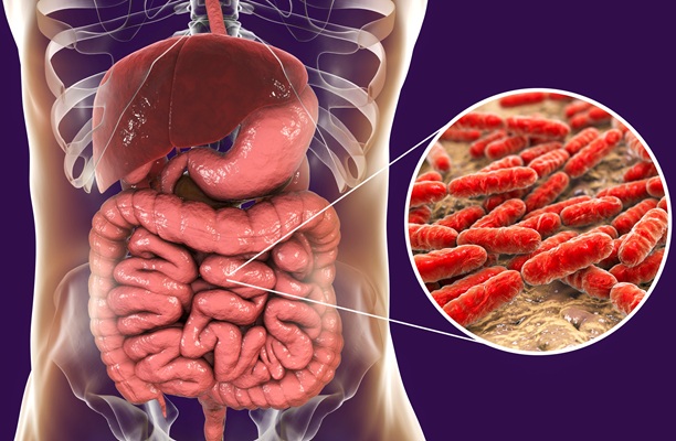 Image: Gut microbiota dysbiosis has been linked to the onset and progression of gestational diabetes (Photo courtesy of 123RF)