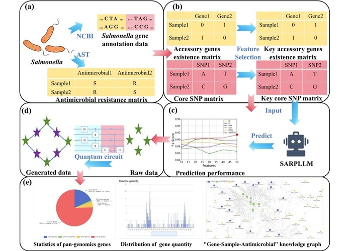 Image: The groundbreaking salmonella antimicrobial resistance prediction platform has demonstrated 95% accuracy (Photo courtesy of Yujie You et al., DOI: 10.1016/j.eng.2025.01.013) Image: The groundbreaking salmonella antimicrobial resistance prediction platform has demonstrated 95% accuracy (Photo courtesy of Yujie You et al., DOI: 10.1016/j.eng.2025.01.013)