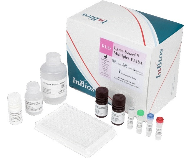 Image: The Lyme Detect Multiplex ELISA improves workflow and acute stage sensitivity for the diagnosis of Lyme disease (Photo courtesy of InBios) Image: The Lyme Detect Multiplex ELISA improves workflow and acute stage sensitivity for the diagnosis of Lyme disease (Photo courtesy of InBios)