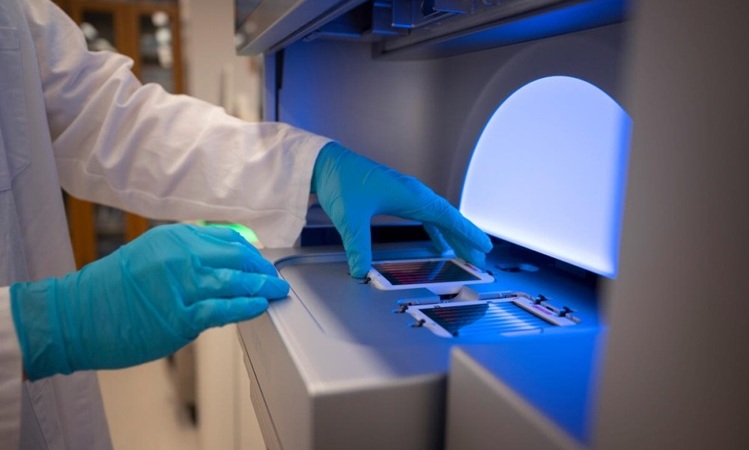 Image: The CloneSeq-SV approach can allow researchers to study how cells within high-grade serous ovarian cancer change over time (Photo courtesy of MSK) Image: The CloneSeq-SV approach can allow researchers to study how cells within high-grade serous ovarian cancer change over time (Photo courtesy of MSK)