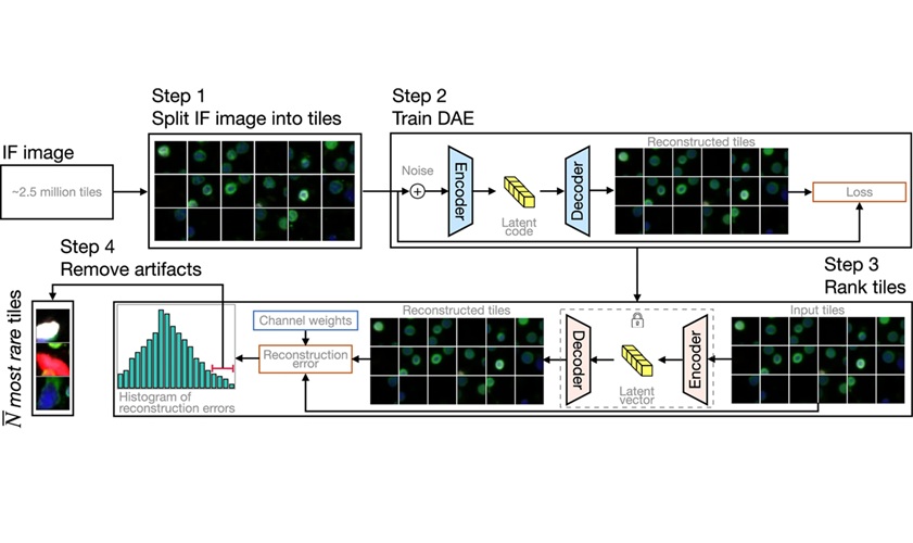 Image: Schematic diagram of the rare event detection (RED) pipeline (Murgoitio-Esandi et al., npj Precision Oncology (2025). DOI: 10.1038/s41698-025-01015-3)