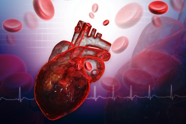 Image: The small molecules could make it easier to detect heart failure in women (Photo courtesy of 123RF)