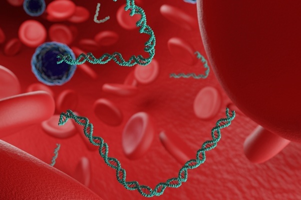 Image: Ultrasensitive circulating tumor DNA analysis enables early, noninvasive monitoring of immunotherapy response (Photo courtesy of Shutterstock)