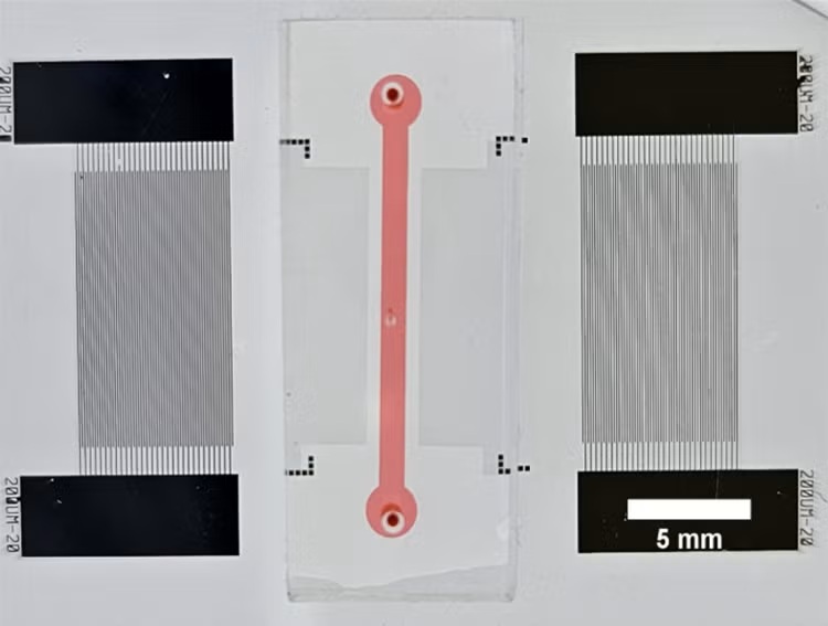 Image: The new device can fit in the palm and is capable of measuring the quality of red blood cells (Photo courtesy of Xiaoyun Ding)