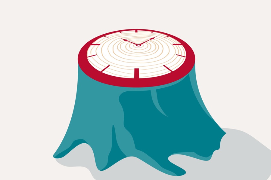 Image: The model estimates when Alzheimer’s symptoms will begin based on the accumulation of amyloid and tau proteins in the brain (Photo courtesy of Sara Moser/WashU Medicine)