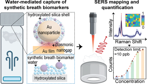 Image: The device leverages plasmonics and Raman spectroscopy (Garg, A. et al., Nano Letters, 2026. DOI: 10.1021/acs.nanolett.5c05948)