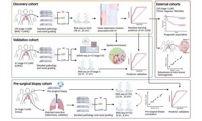 Image: Study Overview (Steiner, D., Sultan, L., Sullivan, T. et al. Nat Commun 17, 2581 (2026). doi.org/10.1038/s41467-026-70600-2)