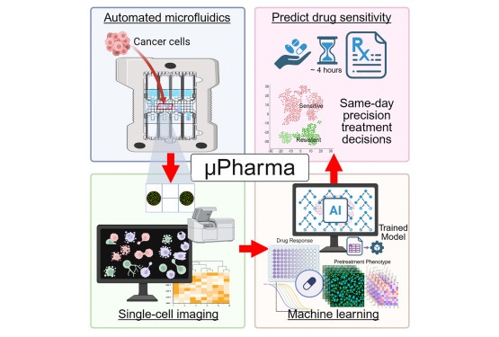 Image: Graphical Abstract (Huiqian Hu et al., Med 7(3): 100966 (2026). DOI: 10.1016/j.medj.2025.100966)