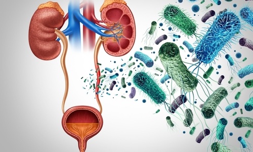 Image: The direct-from-urine rapid method can identify an effective antibiotic in an average of 5.85 hours (photo courtesy of Shutterstock)