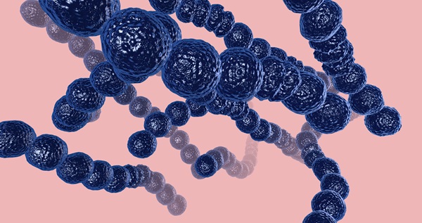 image: The new findings provides critical genetic information to understand how SDSE spreads, evolves, and causes infection, with insights intended to support diagnosis, infection control, and vaccine planning (photo credit: 123RF)