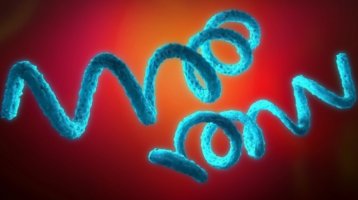 Image: Researchers identified a previously undescribed Treponema species that was strongly associated with acute Noma disease (photo credit: Adobe Stock)