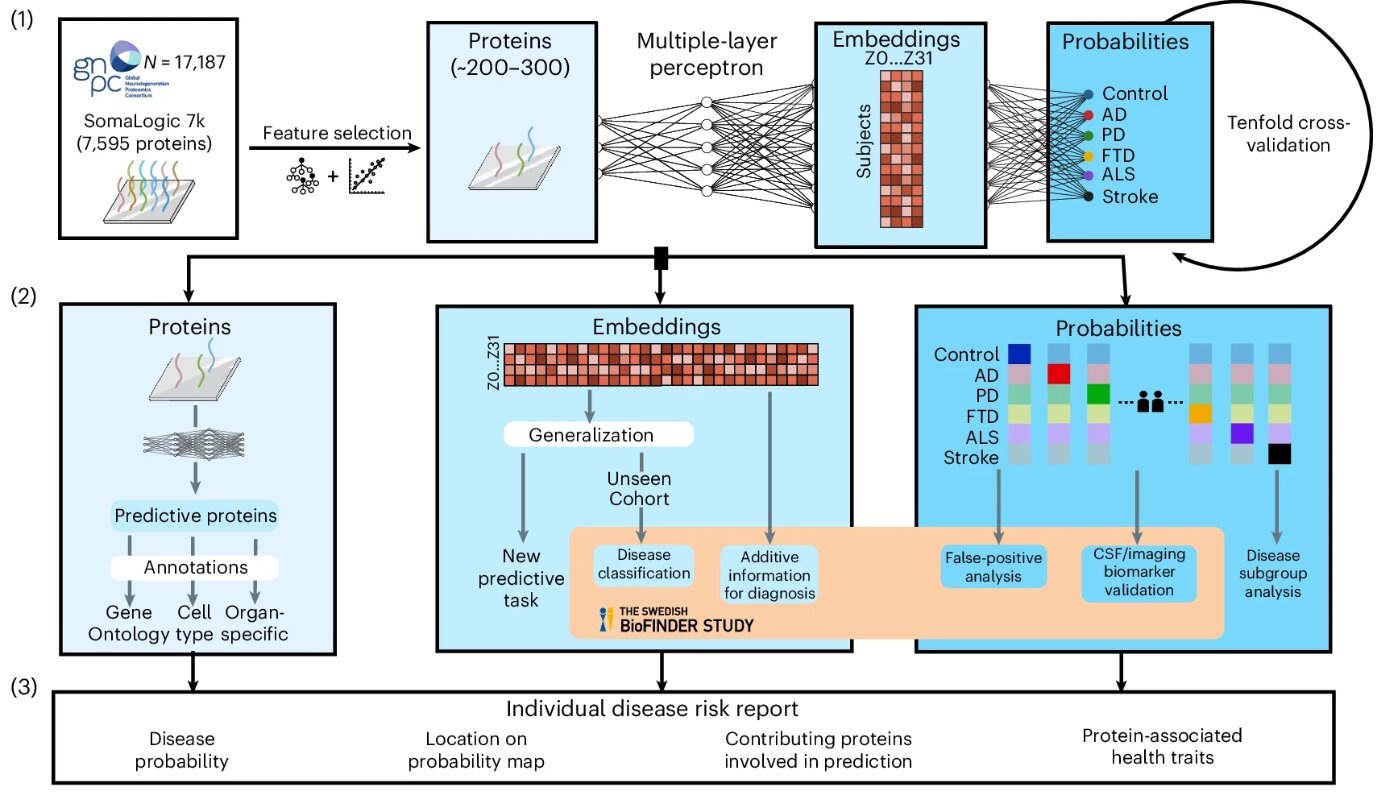 Image: Workflow of ProtAIDe-Dx on GNPC (An, L., Pichet Binette, A., Hristovska, I. et al. Nature Medicine (2026). https://doi.org/10.1038/s41591-026-04303-y)