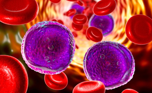 Image: The unified portal identifies biologically and clinically meaningful leukemia subtypes and enables analyses previously impractical across fragmented datasets (photo courtesy of Shutterstock)