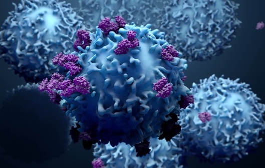 Image: New findings show that blood-based T cell receptor signatures can help distinguish risk among people with Lynch syndrome (photo courtesy of Adobe Stock)