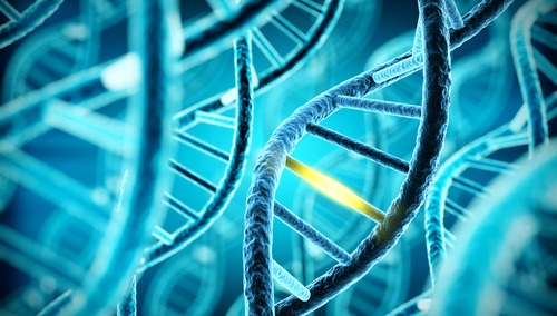Image: Findings suggest the simplified approach pathway could enable large-scale genetic testing without adding workload for health care professionals (photo courtesy of Shutterstock)