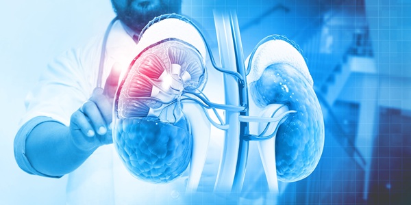 IImage: The landmark partnership is designed to reshape how health systems identify, risk-stratify, and manage chronic kidney disease (photo courtesy of 123RF)